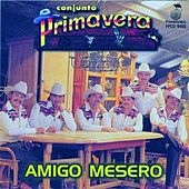 Amigo Mesero