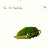 Bach For Meditation
