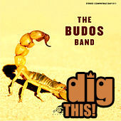 The Budos Band