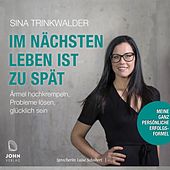 Im nächsten Leben ist zu spät: Ärmel hochkrempeln, Probleme lösen, glücklich sein (Meine ganz persönliche Erfolgsformel)