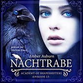 Nachtrabe, Episode 13 - Fantasy-Serie (Academy of Shapeshifters)