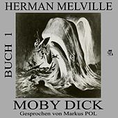Moby Dick (Buch 1)
