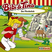 Folge 45 - Der Pferdedieb