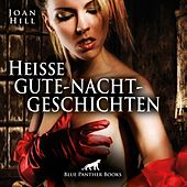 Heiße Gute-Nacht-Geschichten / Erotik pur für Männer und Frauen ... (Ein erotisches Hörbuch von blue panther books mit Sex, Leidenschaft, Erotik, Lust, Hörspiel)
