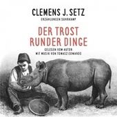 Der Trost runder Dinge (Ausgewählte Erzählungen)