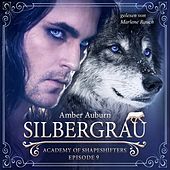 Silbergrau, Episode 9 - Fantasy-Serie (Academy of Shapeshifters)