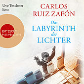 Das Labyrinth der Lichter (Gekürzte Lesung)