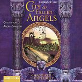 City of Fallen Angels - Chroniken der Unterwelt (Bones IV)