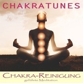 Chakra Reinigung (Geführte Meditation)