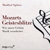 Mozarts Geistesblitze (Wie unser Gehirn Musik verarbeitet)