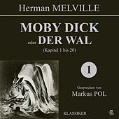 Moby Dick oder Der Wal (Kapitel 1 bis 20)